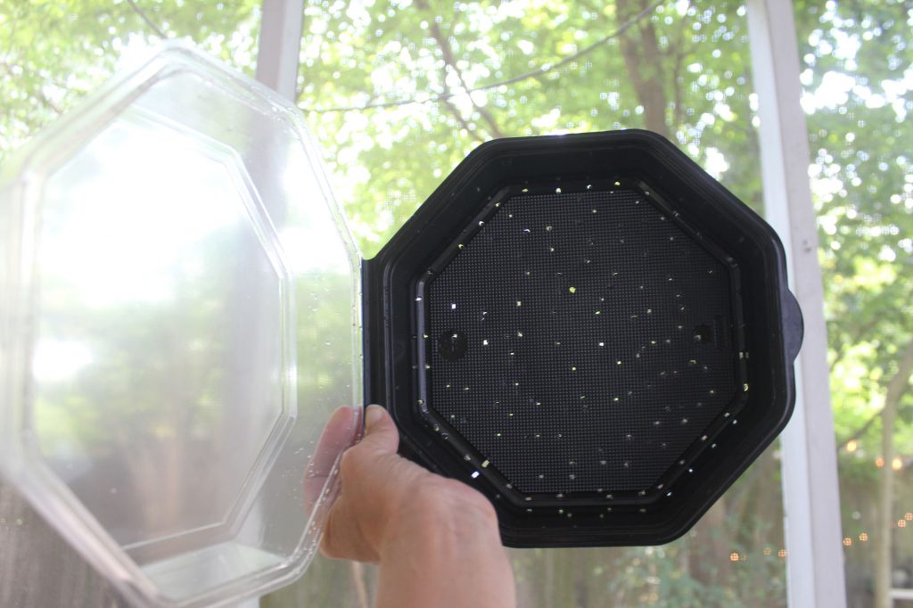 Photo: Repurpose your to-go containers. I put this on a few towels and jabbed it with a two-prong carving fork. 