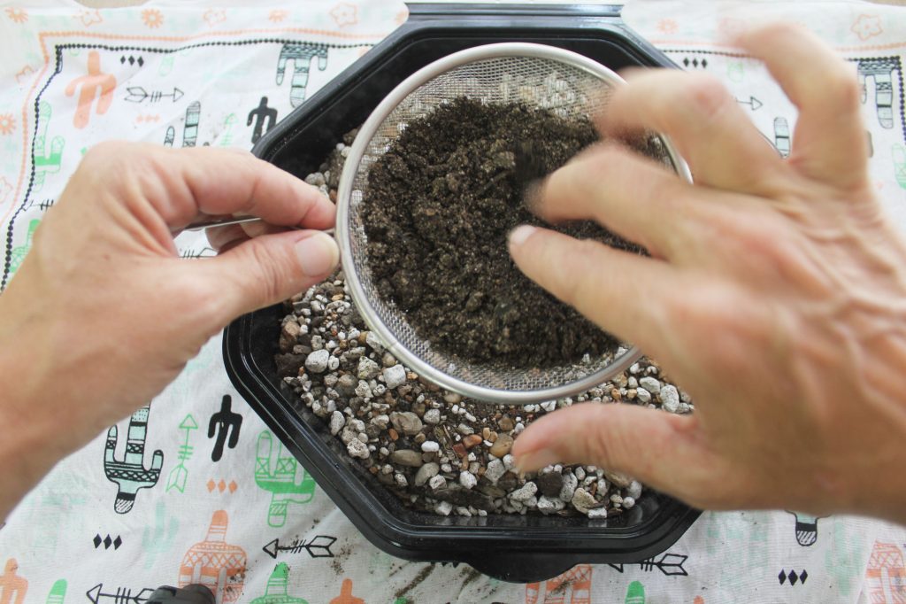 Photo: Make 'soft sand' by sifting topsoil over the container